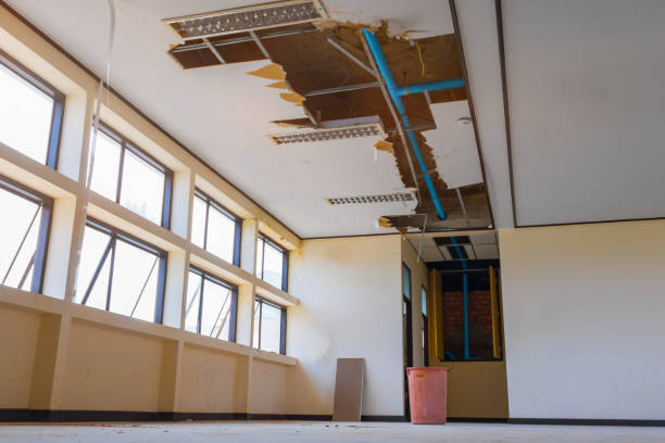 Best Ceiling and Wall Water Damage Repair in Winthrop, MN