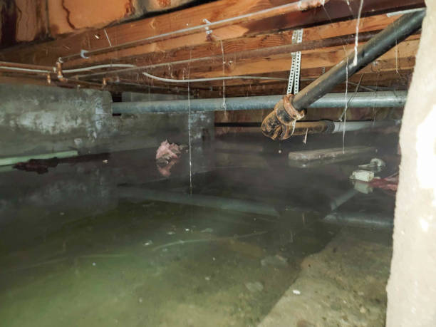 Plumbing Leak and Burst Pipe Cleanup