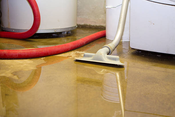 Best Commercial Water Damage Restoration in Winthrop, MN