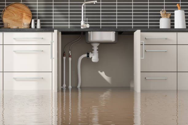 Trusted Water Damage Restoration in Winthrop, MN | Fast, Reliable, and Ready to Assist You